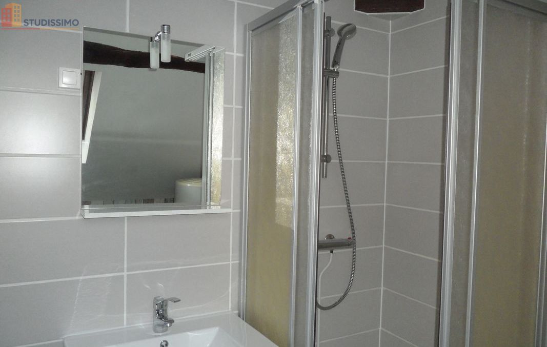 Studio 30m² Mehun-sur-Yèvre - 2e étage, lumineux - Photo 3