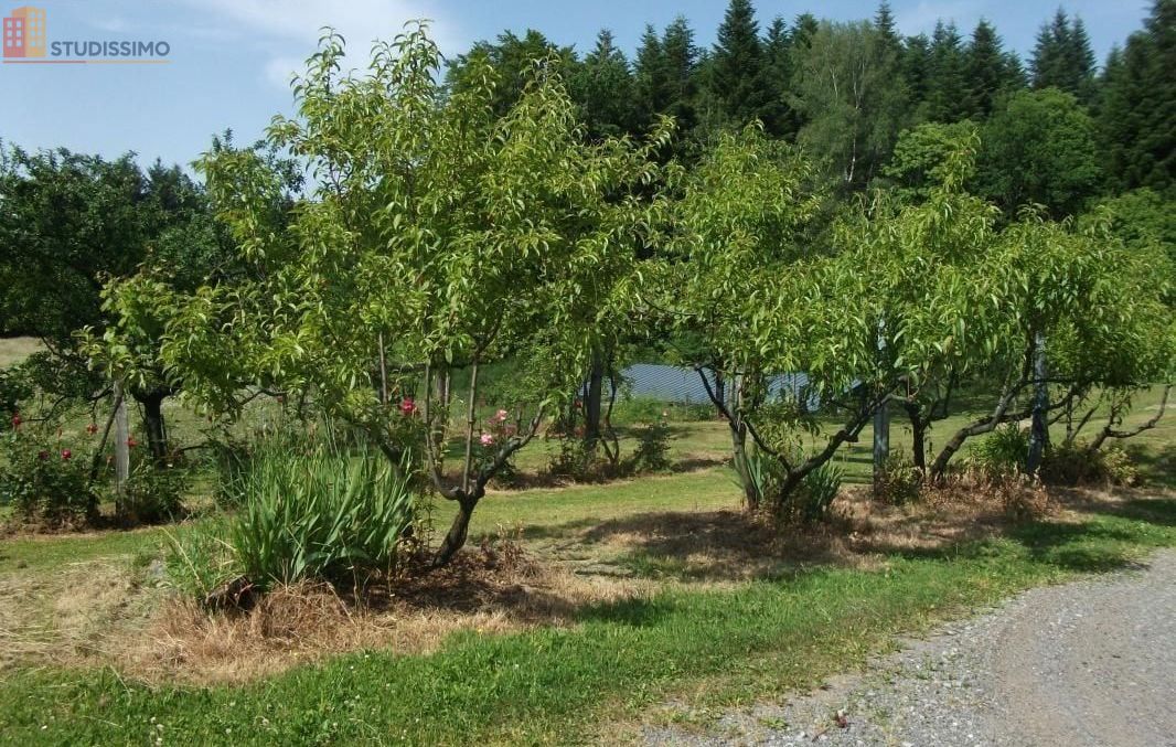 Studio meublé 15m² Rosiers-d'Égletons - Meublé, calme - Photo 1
