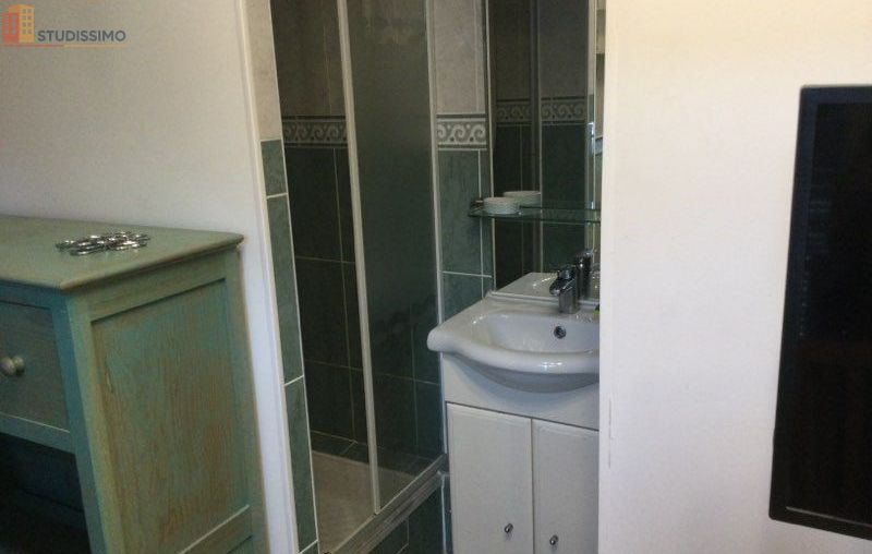 Studio meublé 15m² Naves 19460 - Centre bourg - Photo 2