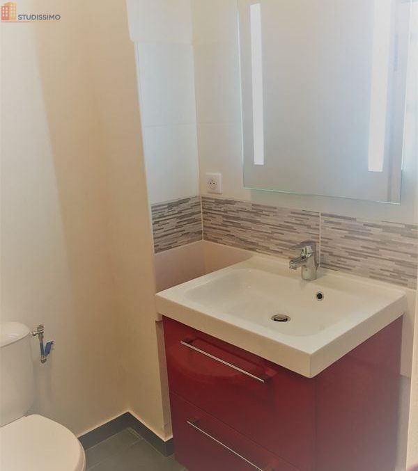 Studio 22m² Brive-la-Gaillarde centre - lumineux - Photo 4