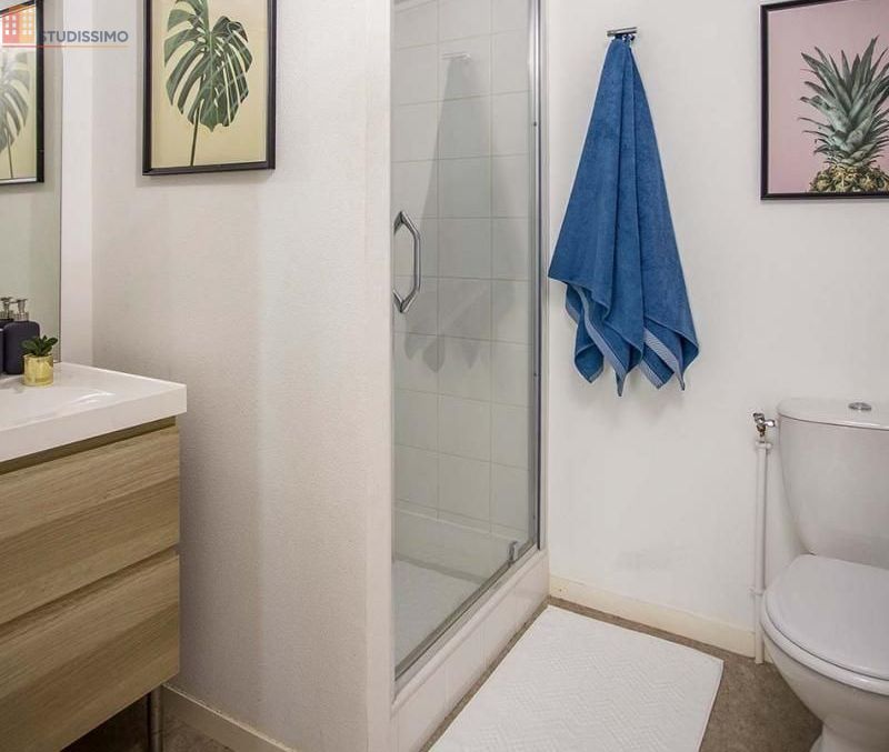 Studio meublé 19m² Dijon centre - Cosy, lumineux - Photo 15