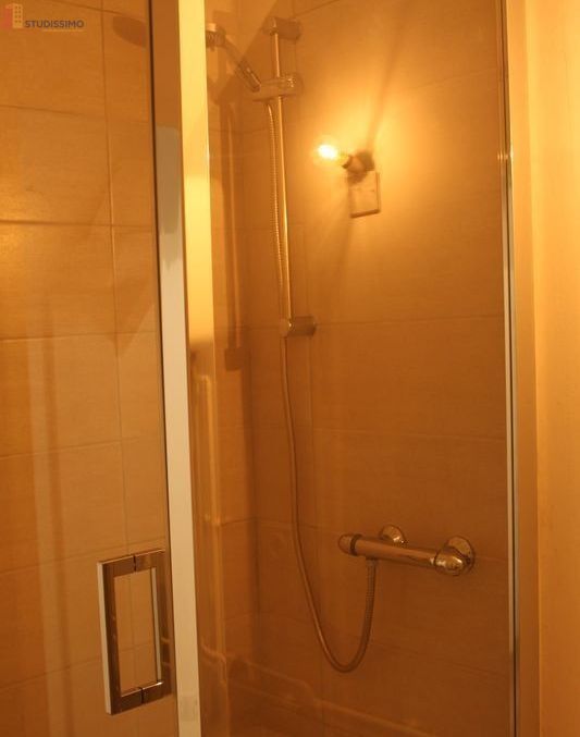 Studio meublé 19m² Dijon centre - Calme, lumineux - Photo 1