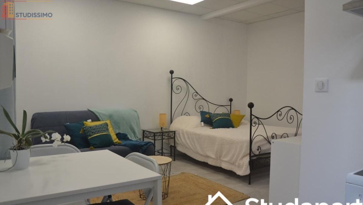 Studio meublé 30m² Dijon centre - Lumineux, calme - Photo 3