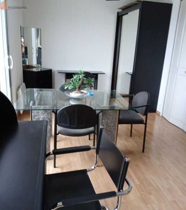 Studio meublé 34m² Dijon centre - Piscine, étage élevé - Photo 18