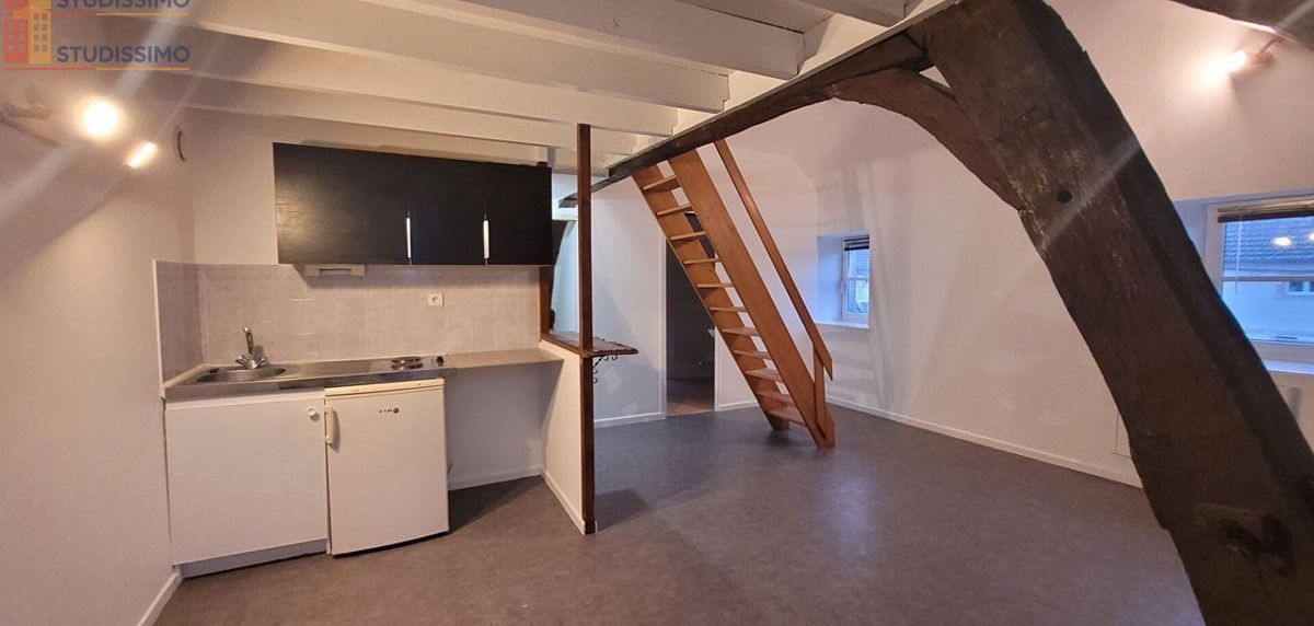 Studio 29m² Is-sur-Tille - Étage élevé, lumineux - Photo 26