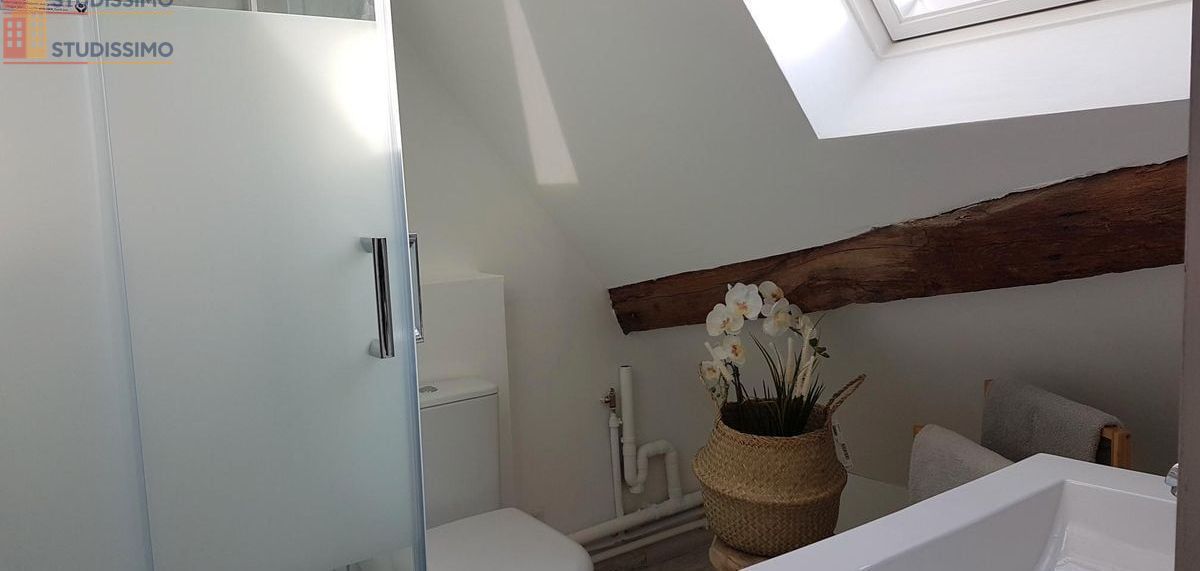 Studio meublé 25m² Dijon centre-ville - Lumineux, calme - Photo 1