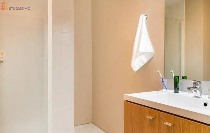 Studio meublé 25m² Dijon 21000 - Meublé, 1 pièce - Photo 3