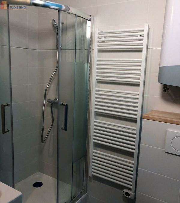 Studio meublé 24m² Dijon centre - Meublé, coeur de ville - Photo 2