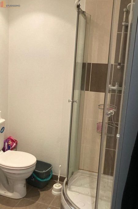 Studio meublé 25m² Dijon centre - Meublé, calme - Photo 6