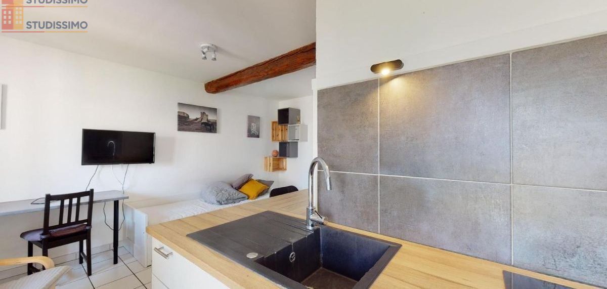 Studio 22m² Dijon centre - Meublé, lumineux - Photo 10