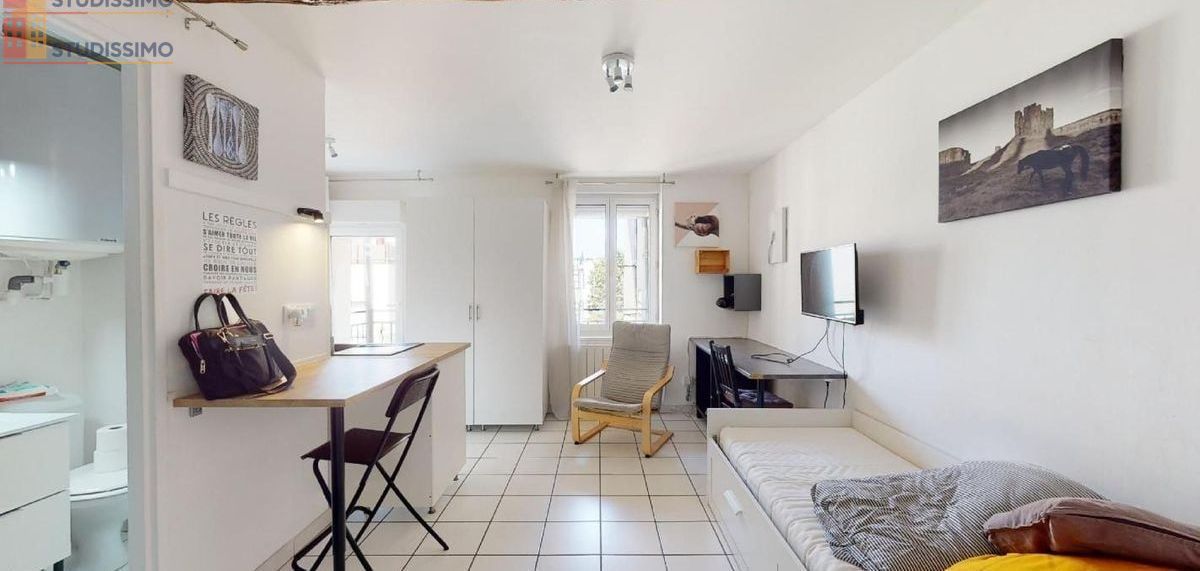 Studio 22m² Dijon centre - Meublé, lumineux - Photo 3