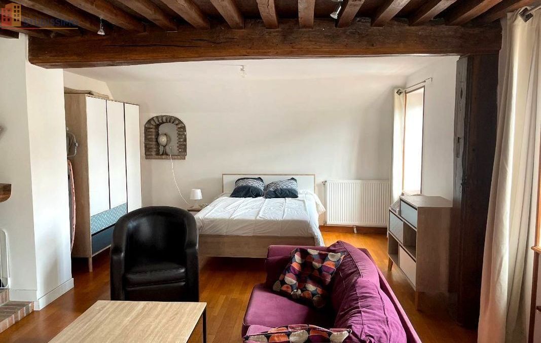 Studio meublé 57m² Beaune - Lumineux, meublé - Photo 6
