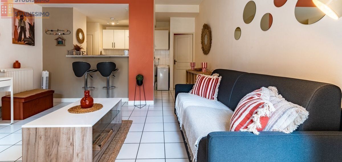 Studio meublé 28m² Dijon centre - Coeur de ville, meublé - Photo 6