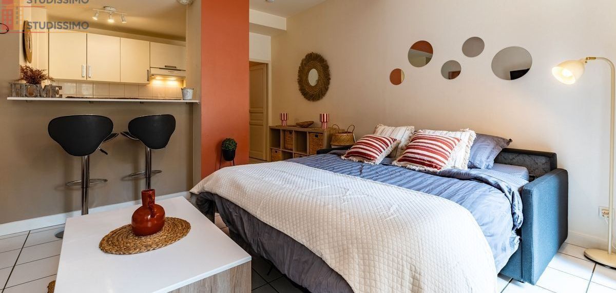 Studio meublé 28m² Dijon centre - Coeur de ville, meublé - Photo 3