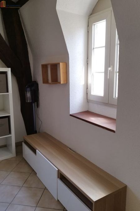 Studio 28m² Dijon centre - Hyper centre, lumineux - Photo 4