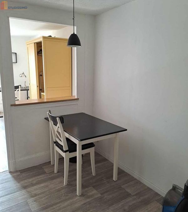 Studio meublé 19m² Dijon centre - Lumineux, dernier étage - Photo 4