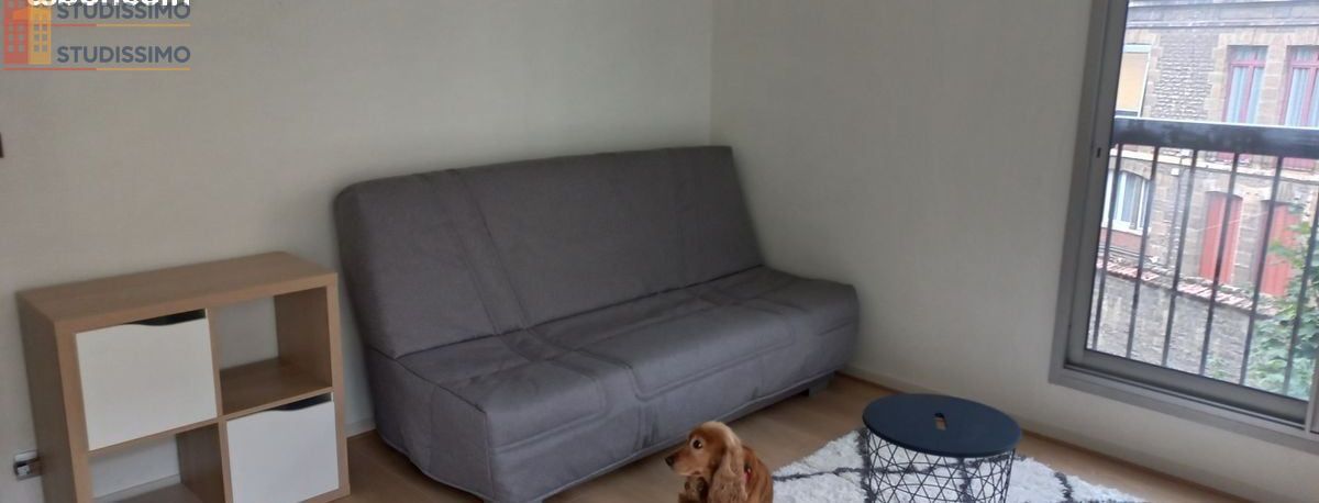 Studio meublé 31m² Dijon centre - Lumineux, 3e étage - Photo 1