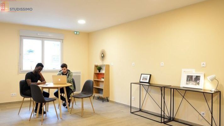 Studio meublé 20m² Dijon centre - Étage élevé, DPE B - Photo 11