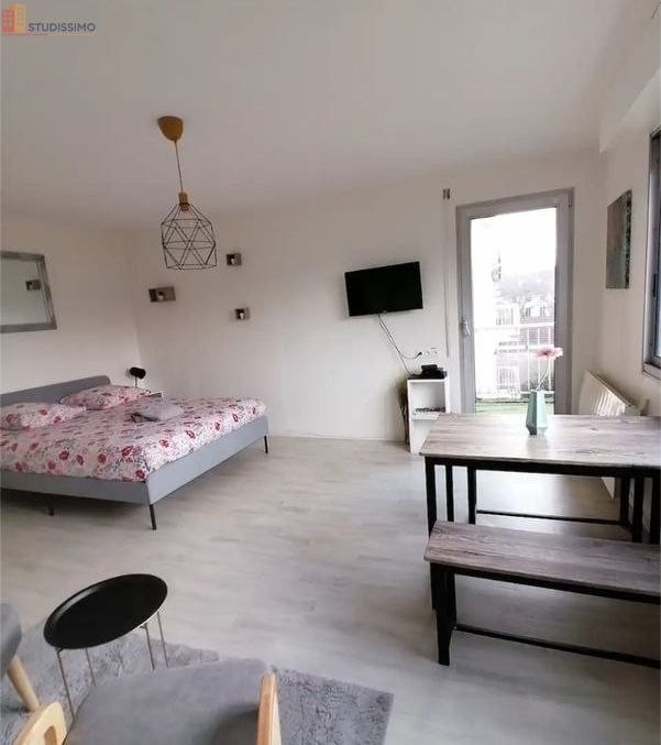 Studio meublé 30m² Dijon centre - Balcon, vue jardin - Photo 5