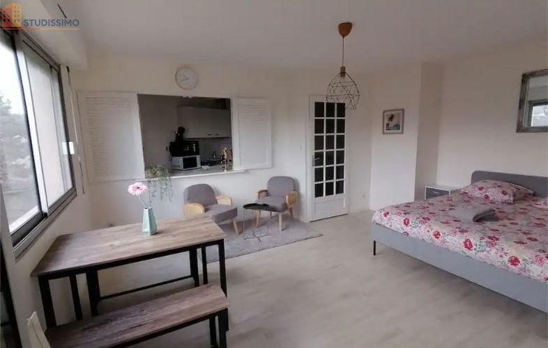 Studio meublé 30m² Dijon centre - Balcon, vue jardin - Photo 3