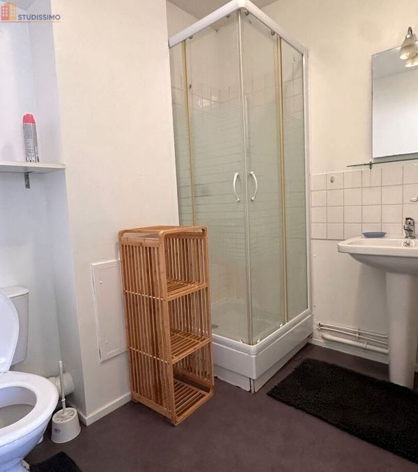 Studio meublé 27m² Saint-Brieuc - Meublé, DPE D - Photo 8