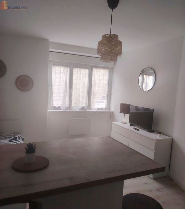 Studio meublé 19m² Saint-Brieuc - Lumineux, meublé - Photo 3