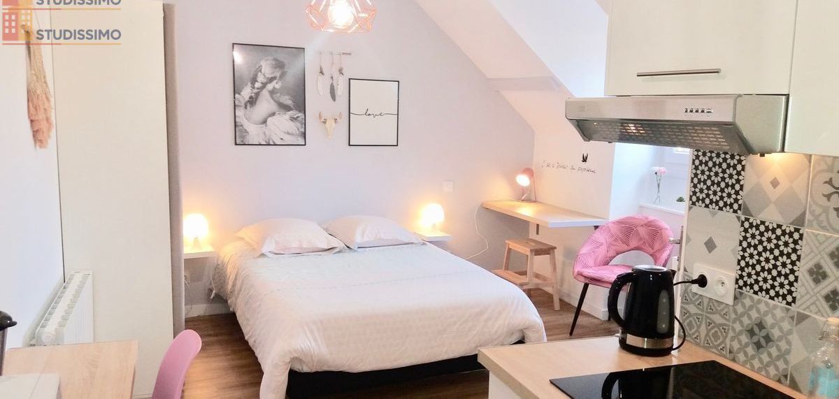 Studio 17m² Saint-Brieuc centre - Meublé, disponible été 2026 - Photo 3