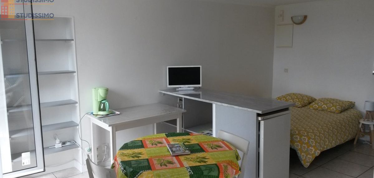 Studio 22m² Lannion - Lumineux, meublé avec terrasse - Photo 6