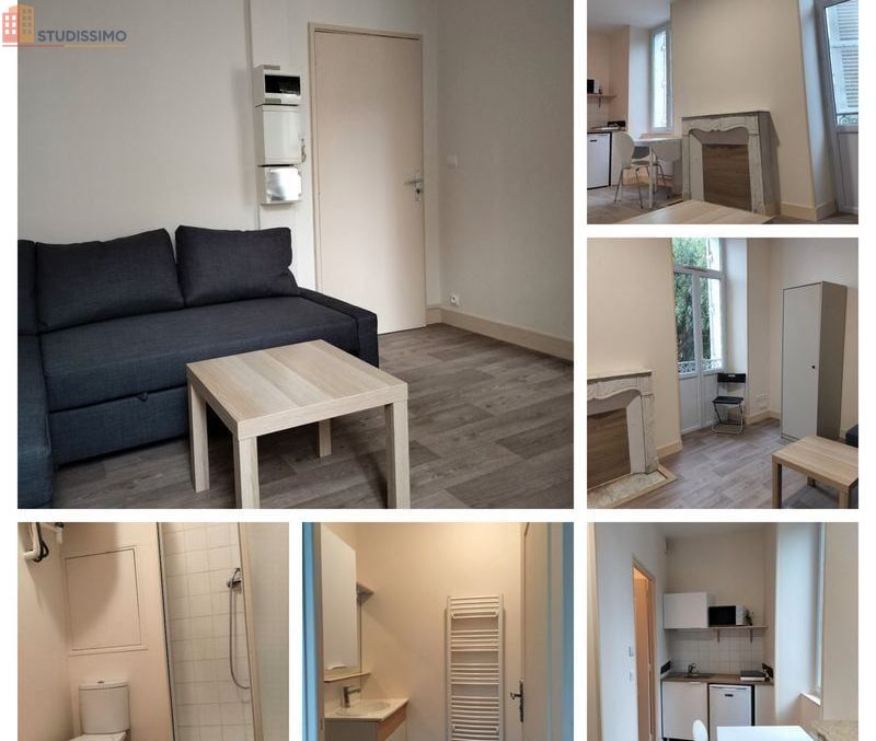 Studio meublé 19m² Périgueux centre - Quartier des Arènes, lumineux - Photo 1
