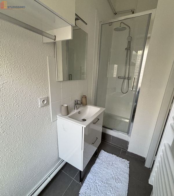 Studio 22m² Sochaux - Meublé, DPE C - Photo 3