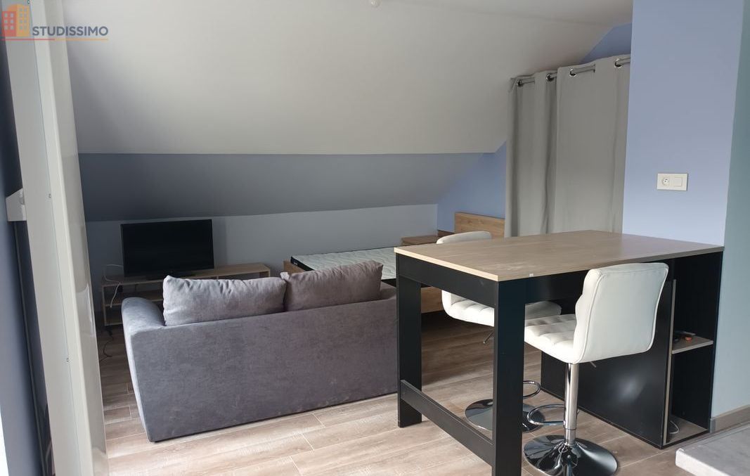 Studio 36m² Mandeure - Meublé, DPE D - Photo 5