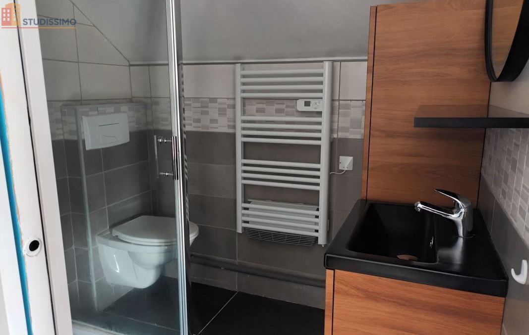 Studio 36m² Mandeure - Meublé, DPE D - Photo 1