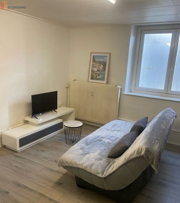 Studio 28m² Vaux-et-Chantegrue - Meublé, proche frontière - Photo 3