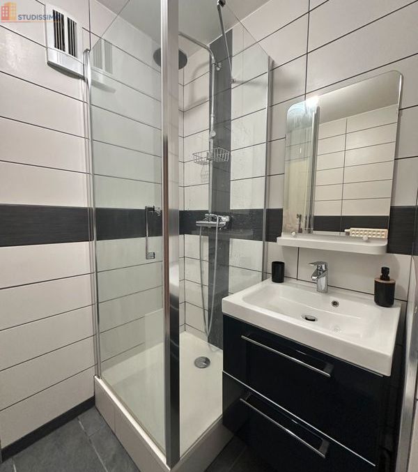 Studio 17m² Montbéliard - Équipé, semi-meublé - Photo 3