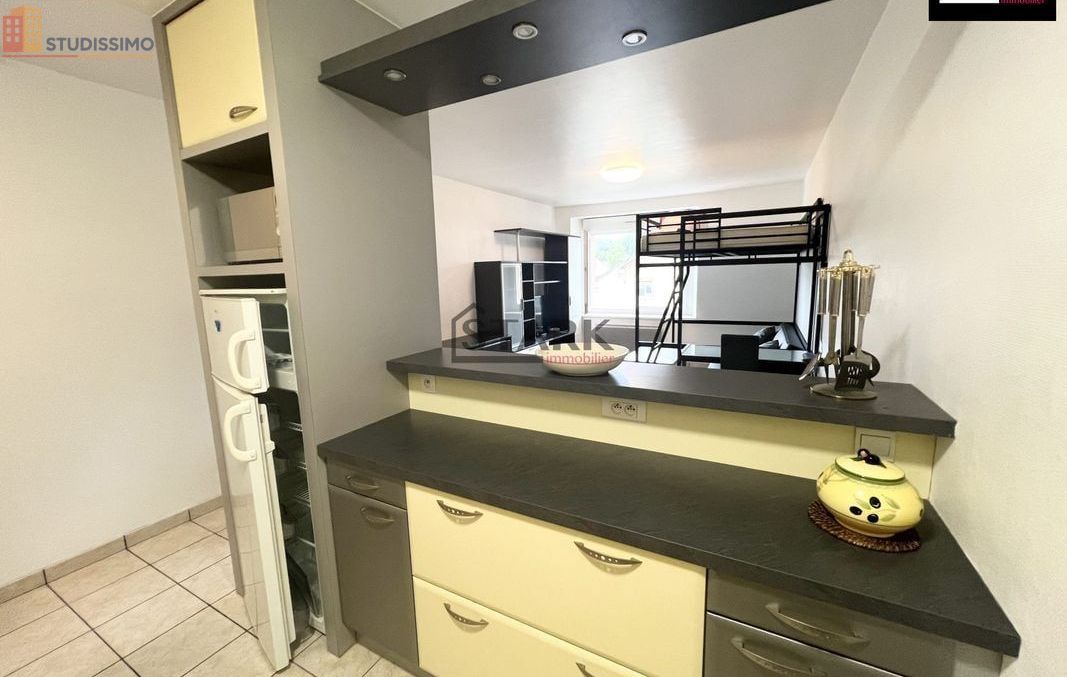 Studio meublé 30m² Mandeure - Meublé, lumineux - Photo 14