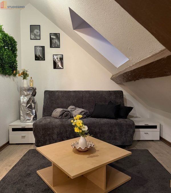 Studio meublé 16m² Montbéliard - Centre-ville, dernier étage - Photo 1