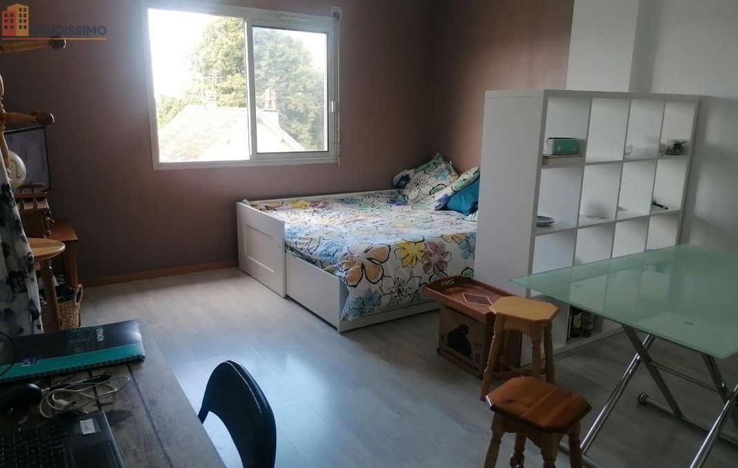 Studio meublé 25m² Besançon - Lumineux, 2e étage - Photo 4