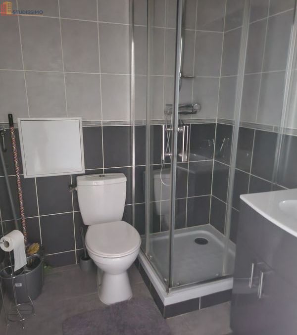 Studio meublé 20m² Montbéliard - Meublé, 2e étage - Photo 5