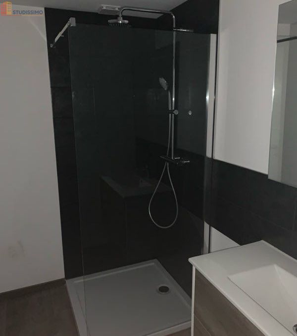 Studio 37m² Montbéliard centre - Meublé, lumineux - Photo 1