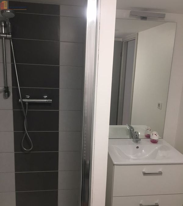 Studio meublé 24m² Montbéliard - Meublé, lumineux - Photo 2