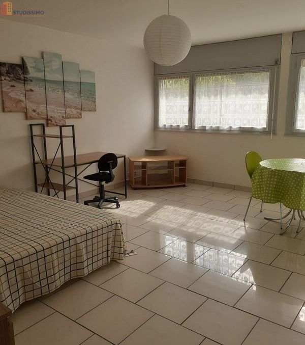 Studio 45m² Besançon - Meublé, grand espace - Photo 7