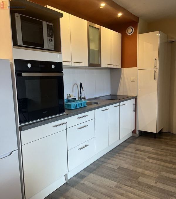 Studio 40m² Dieulefit - Meublé, DPE C - Photo 6