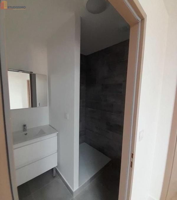 Studio 40m² Saint-Paul-lès-Romans - DPE C - Photo 1