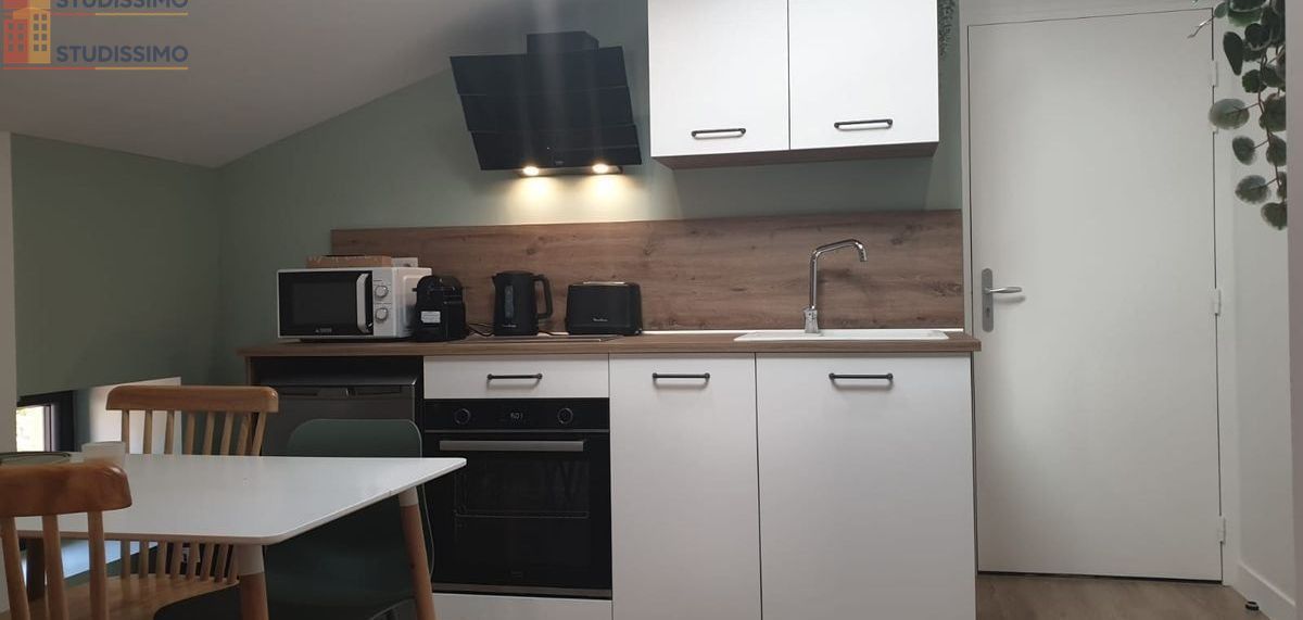 Studio meublé 32m² Châteauneuf-de-Galaure - Centre, lumineux - Photo 2