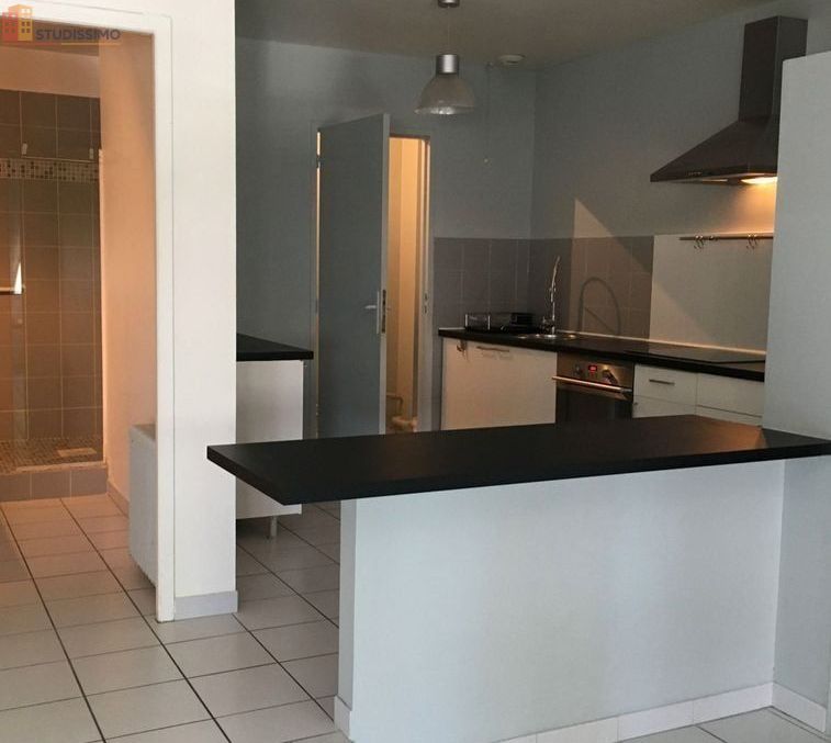 Studio 48m² Valence centre-ville - Loft, lumineux - Photo 2