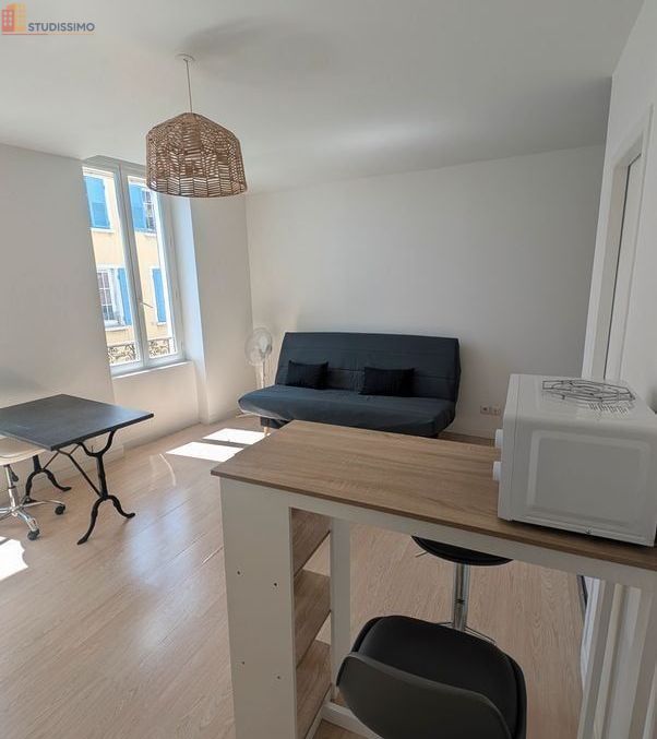 Studio meublé 28m² Valence centre-ville - Lumineux - Photo 9