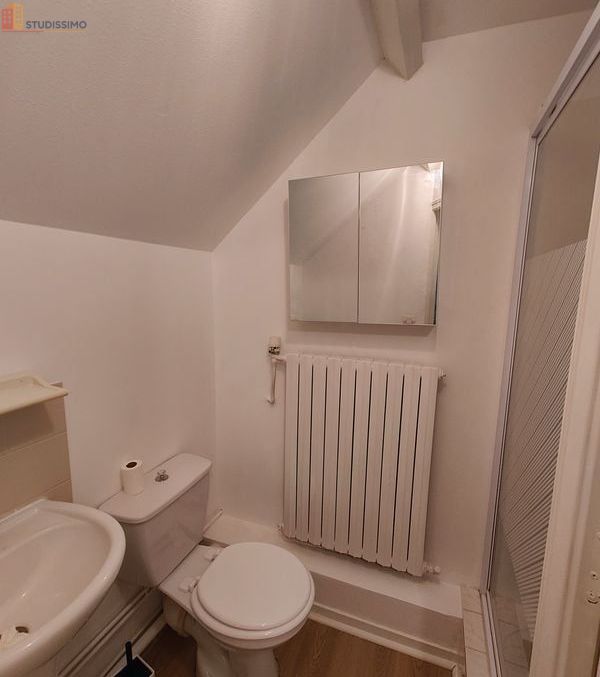 Studio meublé 22m² Chartres - Meublé, DPE C - Photo 2