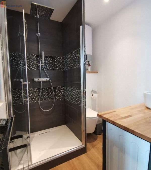 Studio meublé 18m² Brest 29200 - Meublé, lumineux - Photo 9