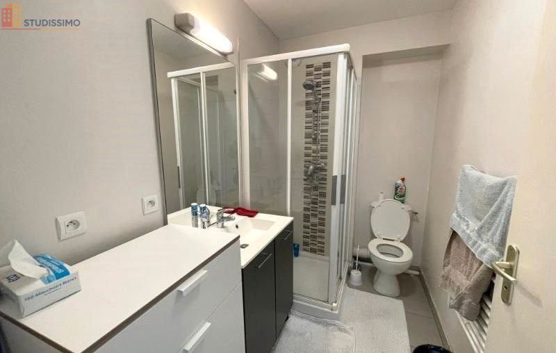 Studio meublé 24m² Brest 29200 - Meublé, DPE D - Photo 10