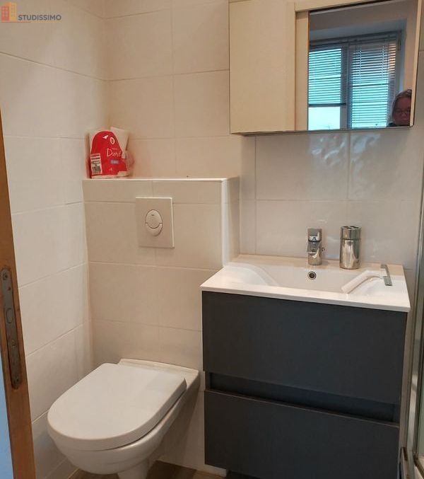 Studio meublé 29m² Brest 29200 - Lumineux, meublé - Photo 3